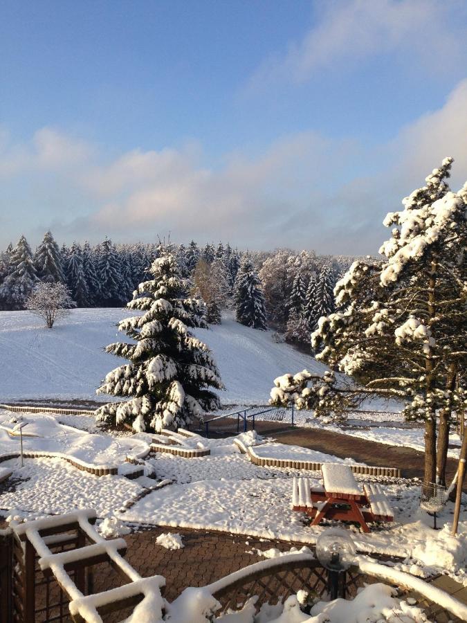 Ferienwohnung "Rodelnde Geiss" Mit Schwimmbad Braunlage Luaran gambar