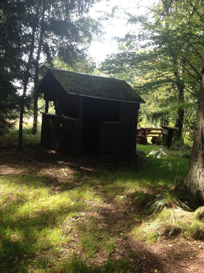 Ferienwohnung "Rodelnde Geiss" Mit Schwimmbad Braunlage Luaran gambar