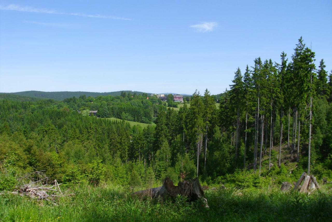 Ferienwohnung "Rodelnde Geiss" Mit Schwimmbad Braunlage Luaran gambar